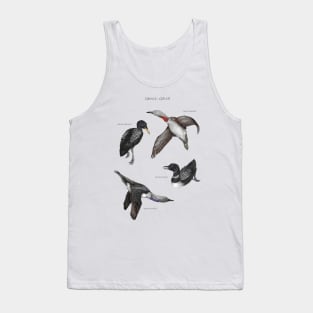 Genus Gavia Tank Top